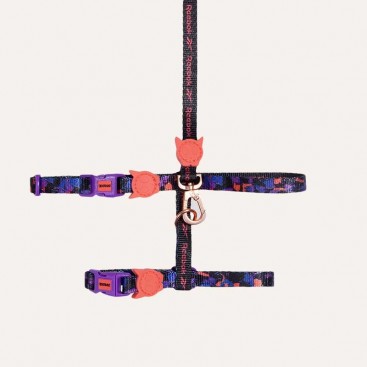 Набір шлея та повідець для котів Zee.Cat - Court Harness+Leash Set