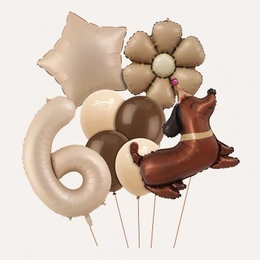 Набор из 10 3D шаров на шестой день рождения собачку Fiesta - Brown Daisy Dog