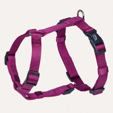 Шлея для собак Nobby - Classic M-L 50х70х2см фиолетовая