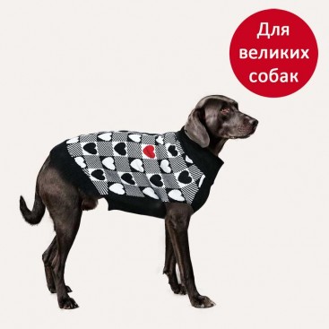 Свитер для больших собак PetsIn - Jack of hearts, 2XL