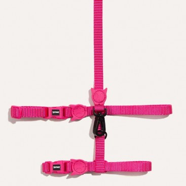 Набор шлей и поводок для кошек Zee.Cat - PINK LED HARNESS + LEASH SET