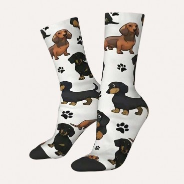 Шкарпетки з таксами Septwolves Underwear - Dachshunds, 39-42