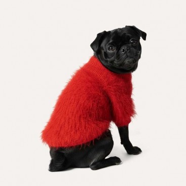 Светр для собак Діско goodboy.swtrs - Red,S