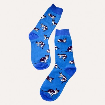 Шкарпетки зі сфінксом PlaySox - Sphinx cat, 36-39