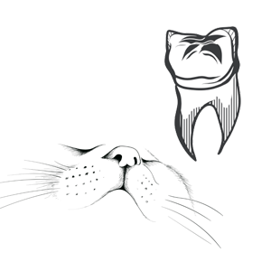 Зуби і ротова порожнина