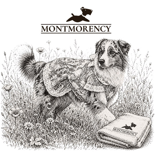 ВИРОБНИЦТВО MONTMORENCY