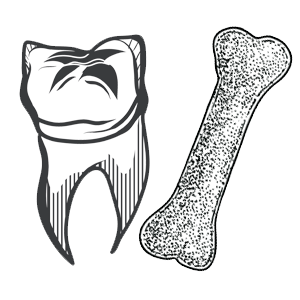 Кістки і зуби