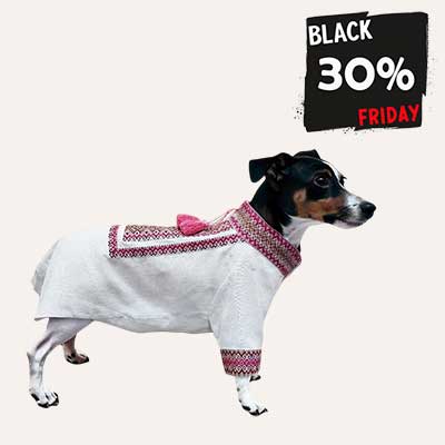 Одяг для собак