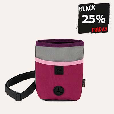 Сумочкі для ласощів