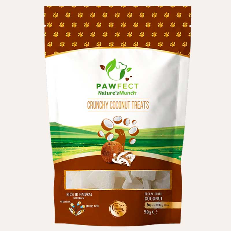 Pawfect 2024 pet supplies